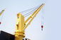 Remote Control Knuckle Boom Marine Deck Crane 20 - 50 Ton Customized